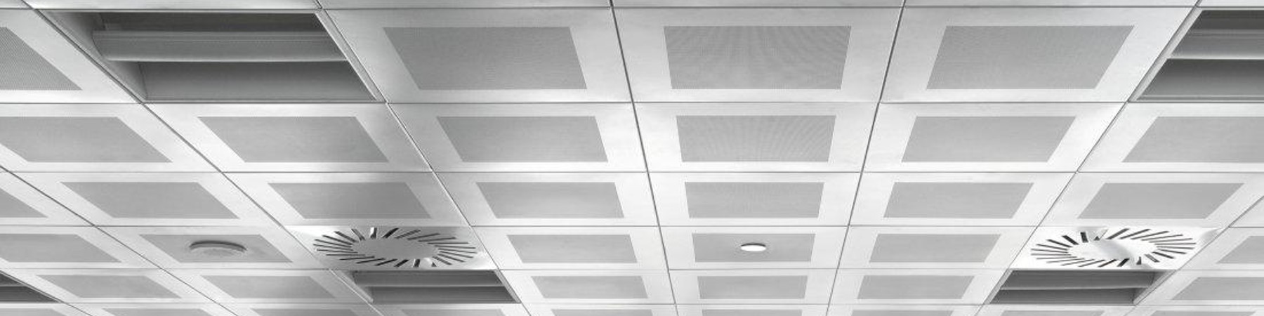 ald-com-150-002-©Philip Vile.jpg