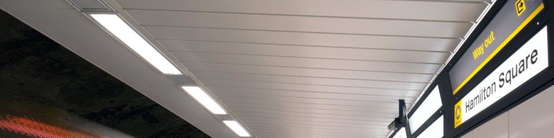 Hami-Lrg-720-tra (11).jpg