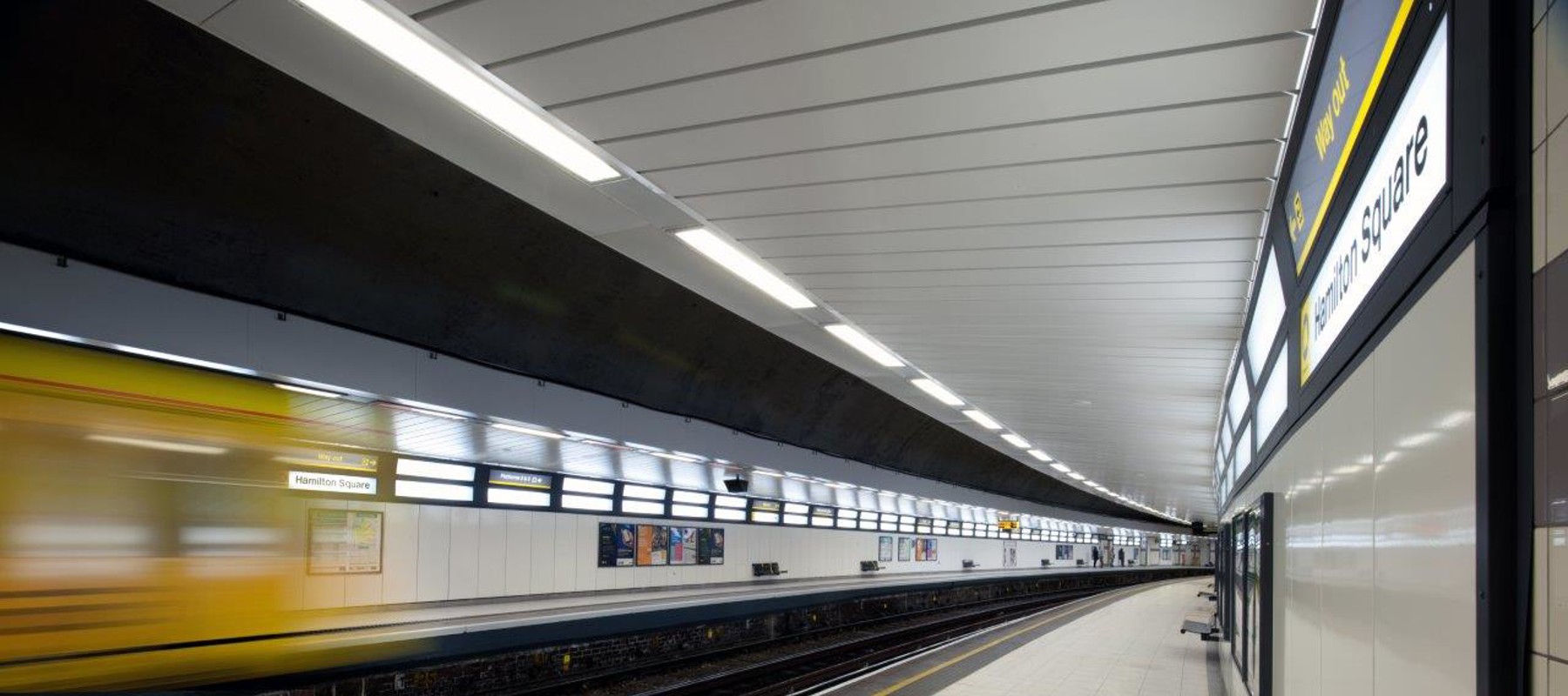 Hami-Lrg-720-tra (13).jpg