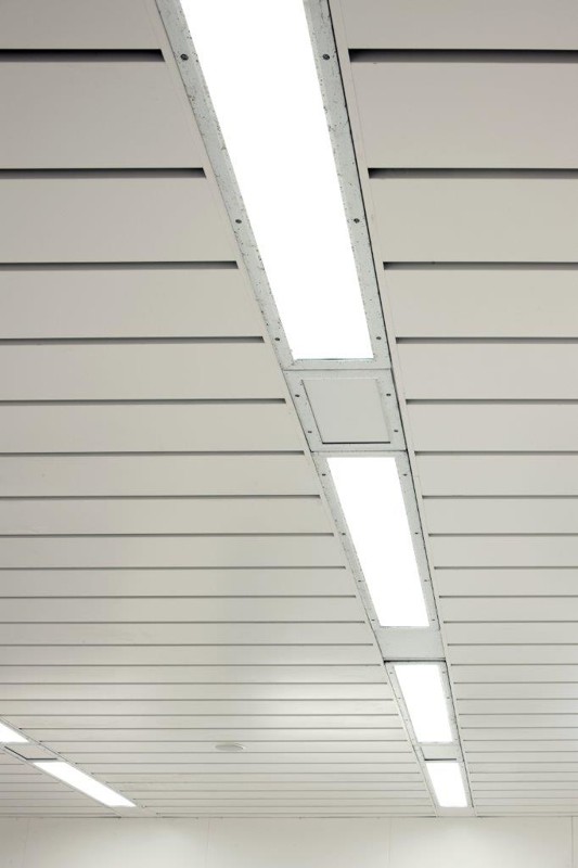 Hami-Lrg-720-tra (16).jpg