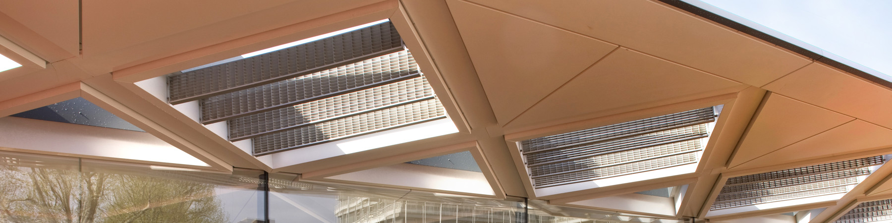 Magg-Lrg-AM-hea (16).jpg